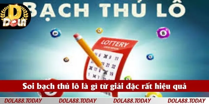 Soi bạch thủ lô là gì từ giải đặc rất hiệu quả