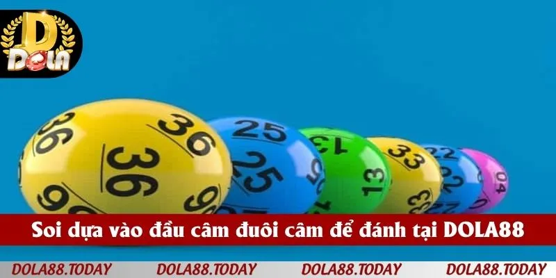 Soi dựa vào đầu câm đuôi câm để đánh tại DOLA88