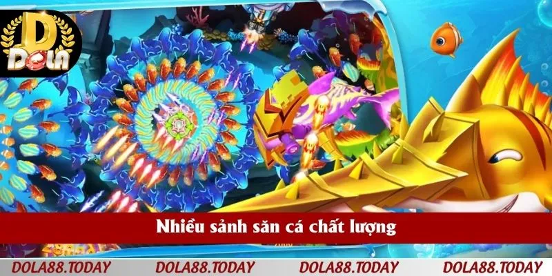 Nhiều sảnh săn cá chất lượng