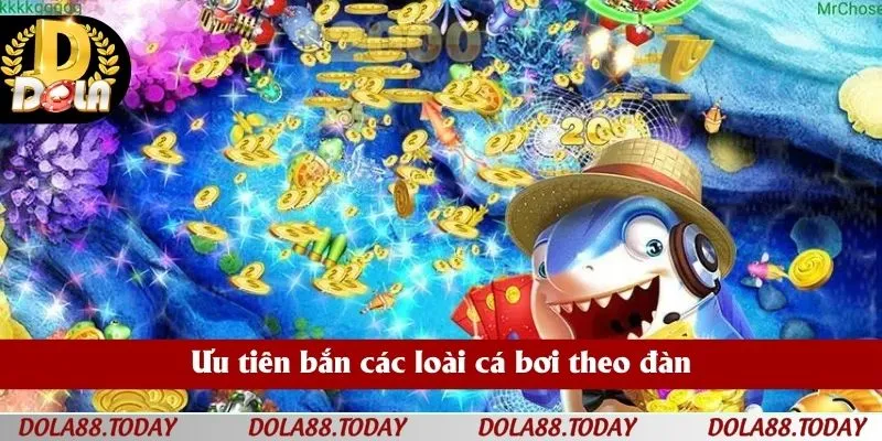 Ưu tiên bắn các loài cá bơi theo đàn
