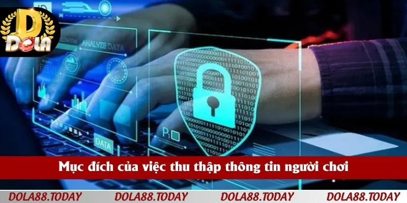 Mục đích của việc thu thập thông tin người chơi