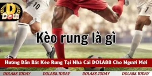 Hướng Dẫn Bắt Kèo Rung Tại Nhà Cái DOLA88 Cho Người Mới