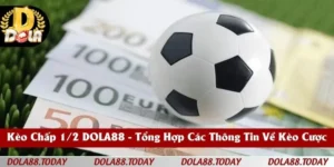 Kèo Chấp 1/2 DOLA88 - Tổng Hợp Các Thông Tin Về Kèo Cược