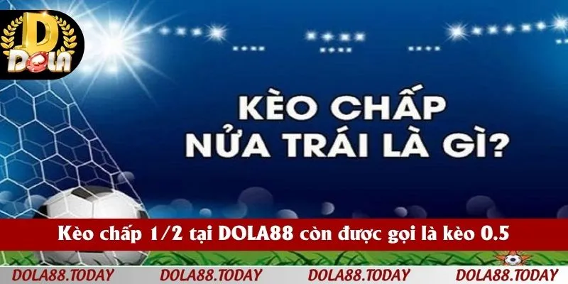 Kèo chấp 1/2 tại DOLA88 còn được gọi là kèo 0.5